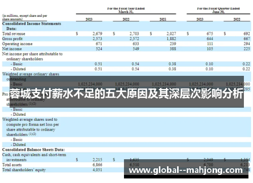 蓉城支付薪水不足的五大原因及其深层次影响分析 蓉城支付薪水不足的五大原因及其深层次影响分析