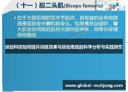 运动科技如何提升训练效果与运动表现的科学分析与实践探索 运动科技如何提升训练效果与运动表现的科学分析与实践探索