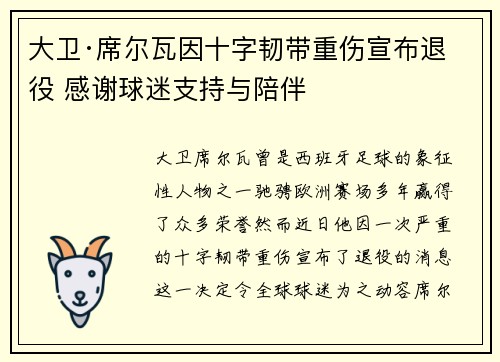 大卫·席尔瓦因十字韧带重伤宣布退役 感谢球迷支持与陪伴